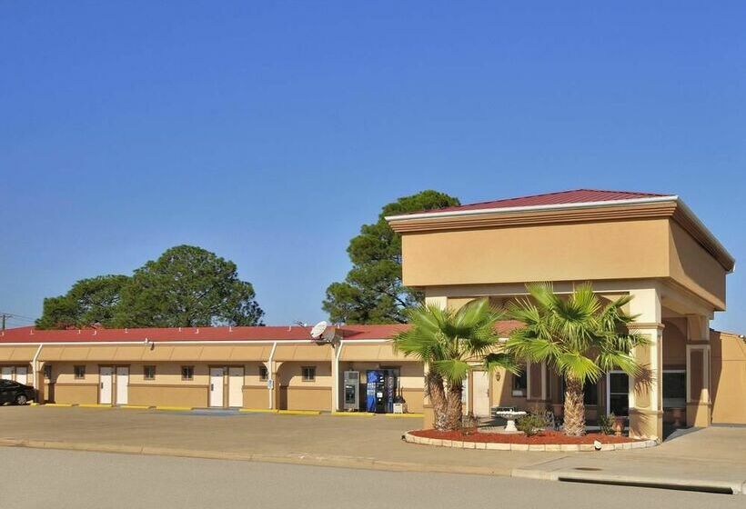 فندق Mccoy   Art, Libations, Pool Society