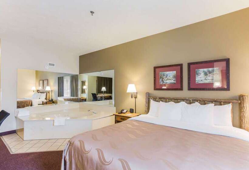 فندق Quality Inn & Suites