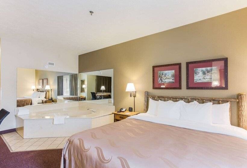 فندق Quality Inn & Suites