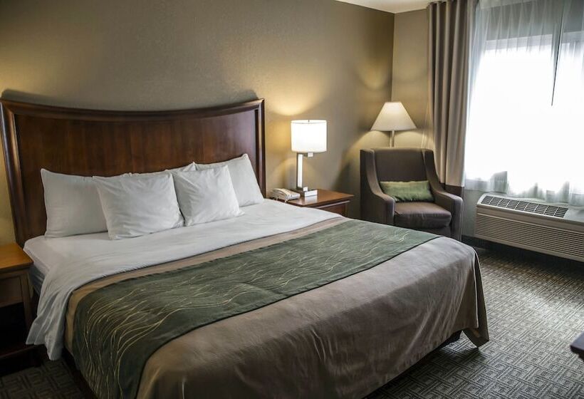فندق Quality Inn & Suites