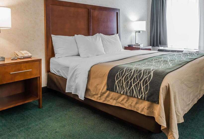 ホテル Quality Inn