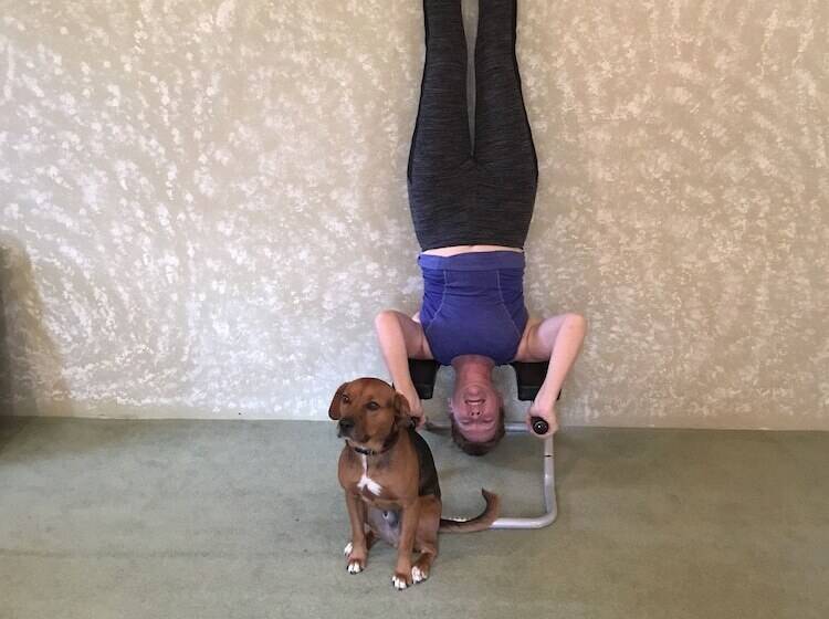 צימר Sewall House Yoga Retreat