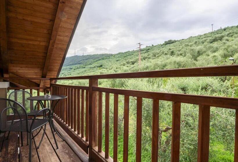 هتل Benacus Panoramic