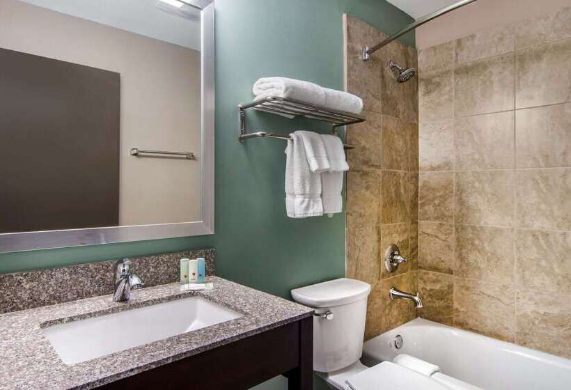هتل Clarion Inn & Suites Atlanta Downtown
