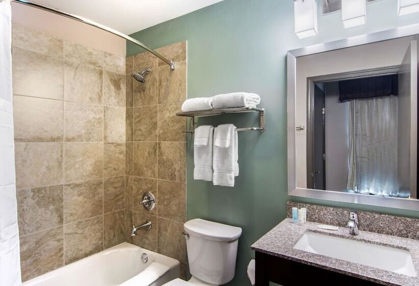 هتل Clarion Inn & Suites Atlanta Downtown