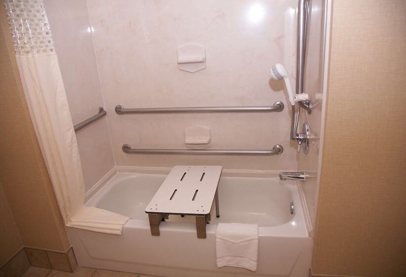 هتل Hampton Inn And Suites Hobbs