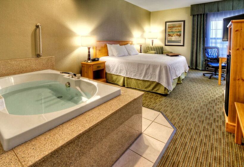 בית מלון כפרי Hampton Inn & Suites By Hilton Petoskey