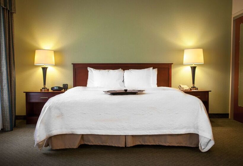 هتل Hampton Inn & Suites Springfield Southwest