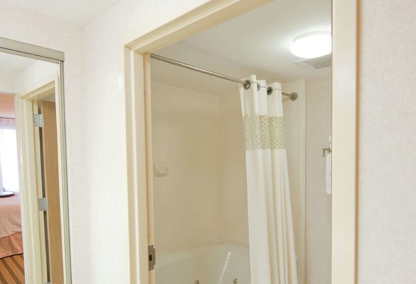 فندق Hampton Inn & Suites St. Louis/chesterfield