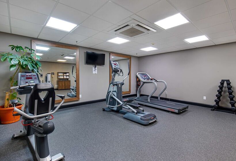 בית מלון כפרי Hampton Inn Corbin Ky