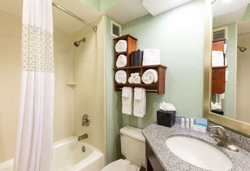 בית מלון כפרי Hampton Inn Daytona Speedway
