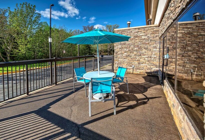 酒店 Hampton Inn Dumfries/quantico