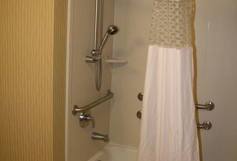 هتل Hampton Inn East Lansing