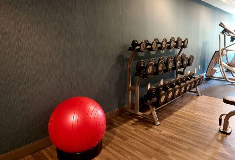 ホテル Hampton Inn Flemington
