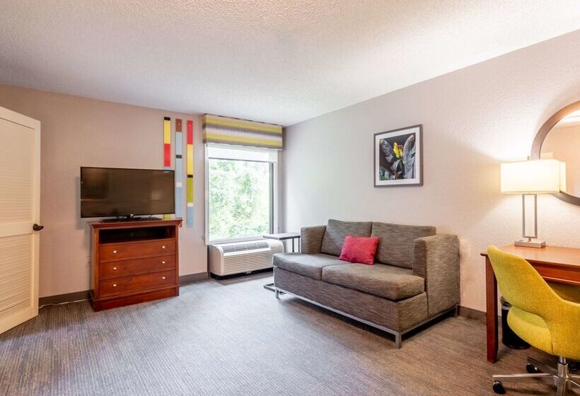 בית מלון כפרי Hampton Inn Gainesville