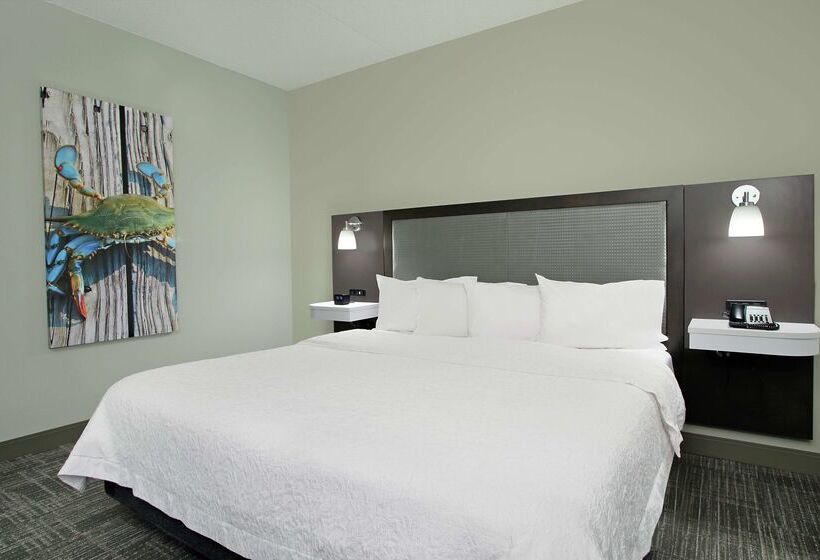 فندق Hampton Inn Hagerstown I 81