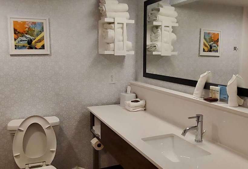 酒店 Hampton Inn Hillsville
