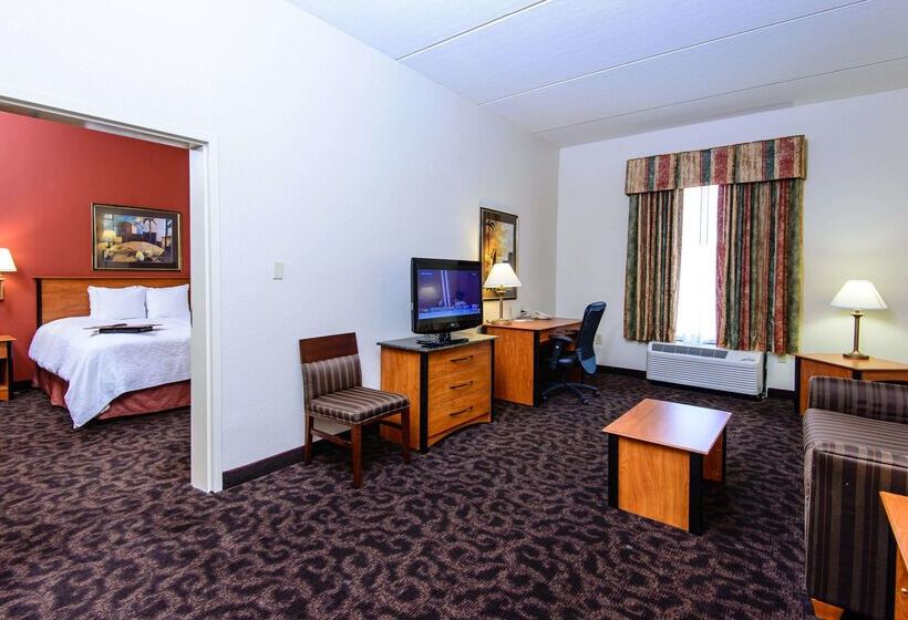 هتل Hampton Inn Houstonpearland