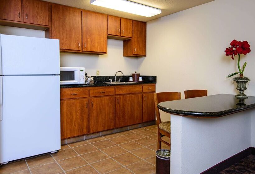 هتل Hampton Inn Houstonpearland