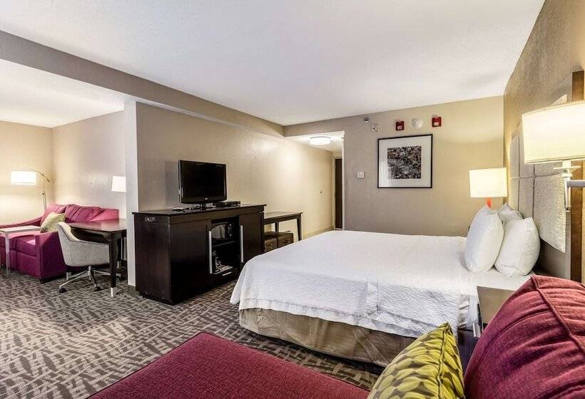هتل Hampton Inn Jackson/pearlinternational Airport