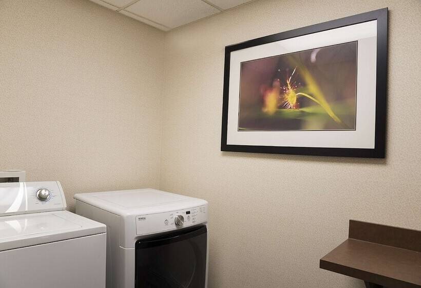 酒店 Hampton Inn Mt. Pleasant