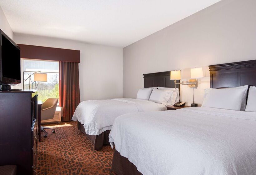 ホテル Hampton Inn Parkersburgmineral Wells