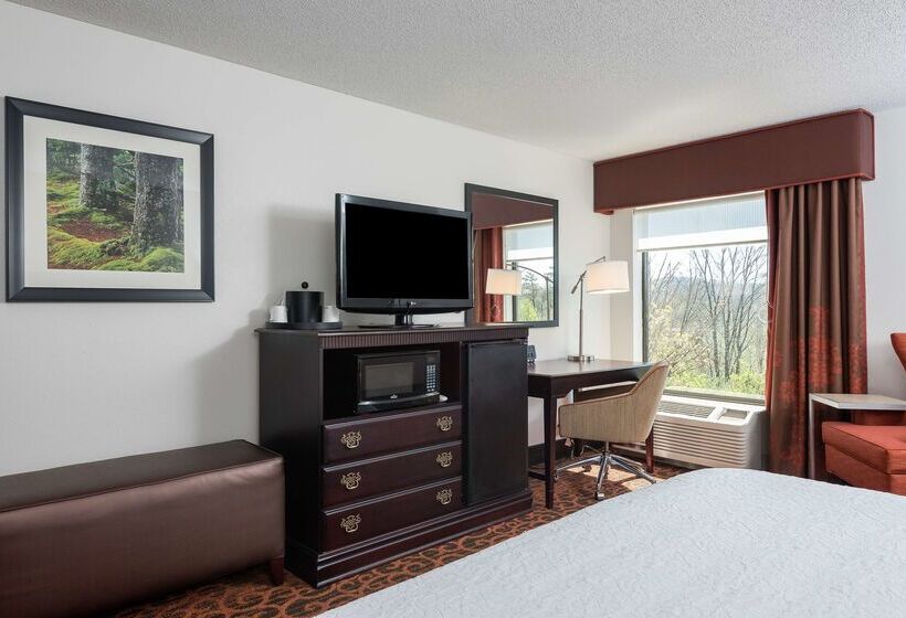 ホテル Hampton Inn Parkersburgmineral Wells