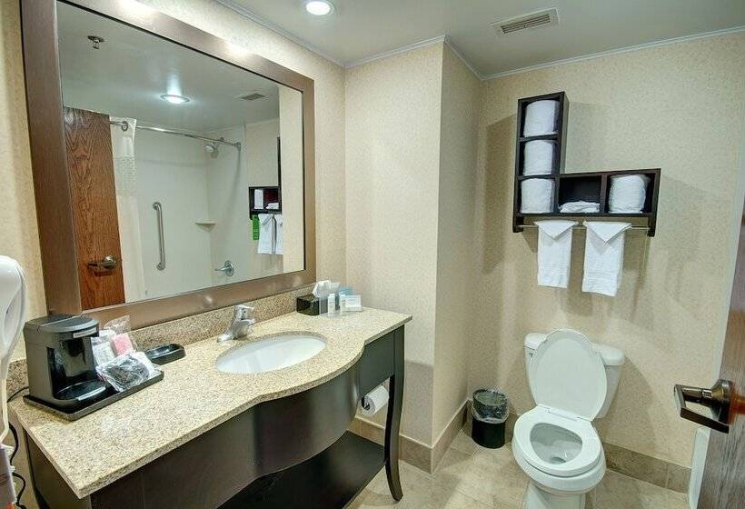 ホテル Hampton Inn Parkersburgmineral Wells
