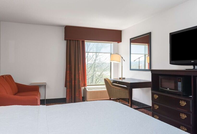 ホテル Hampton Inn Parkersburgmineral Wells