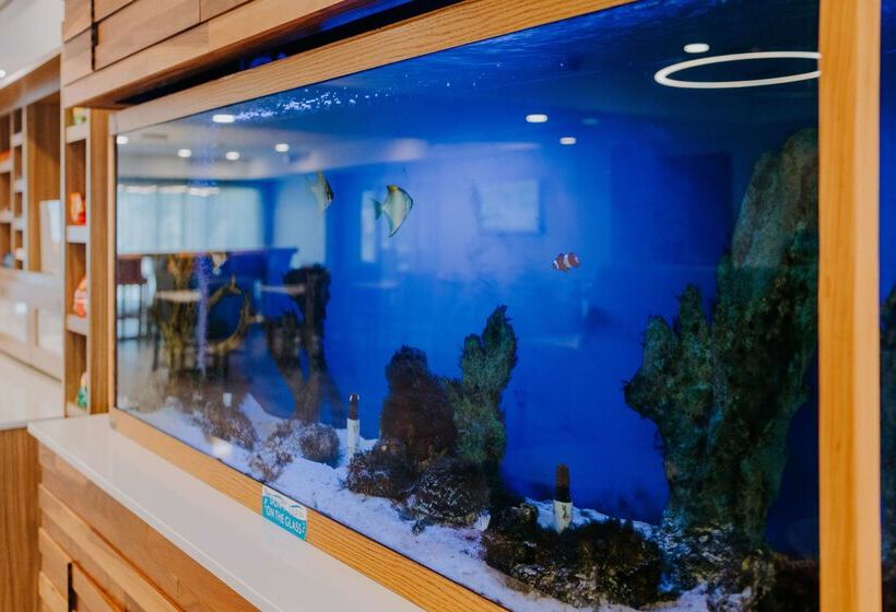 فندق Hampton Inn Rehoboth Beach