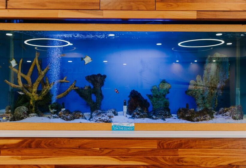 فندق Hampton Inn Rehoboth Beach