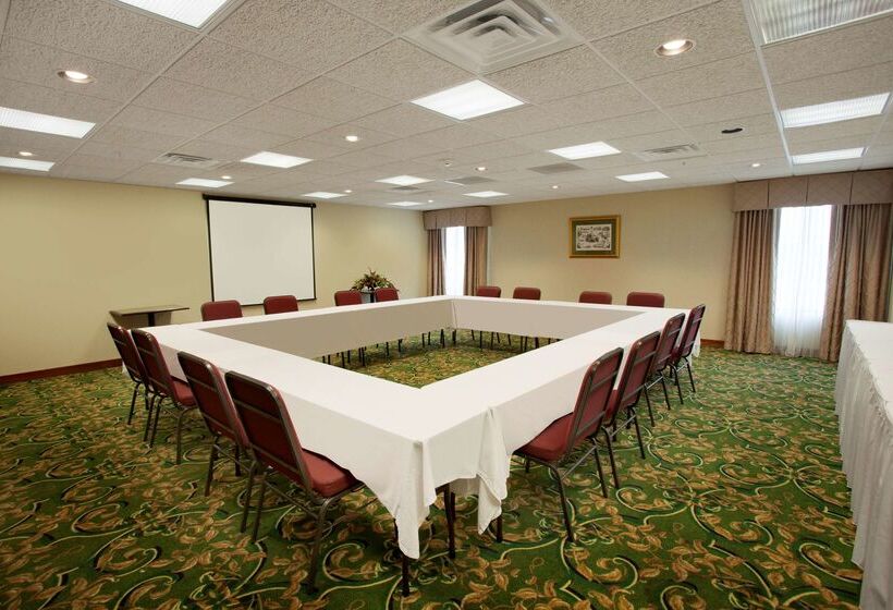 ホテル Hampton Inn Sidney