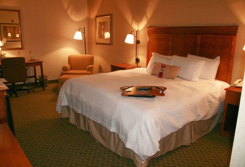 ホテル Hampton Inn Sidney