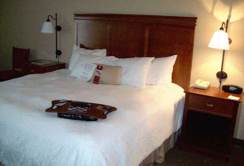 ホテル Hampton Inn Sidney