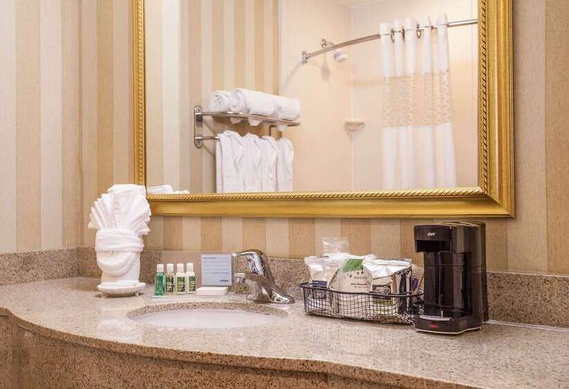Отель Hampton Inn & Suites Addison