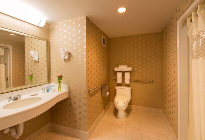 هتل Hampton Inn & Suites Boston Crosstown Center