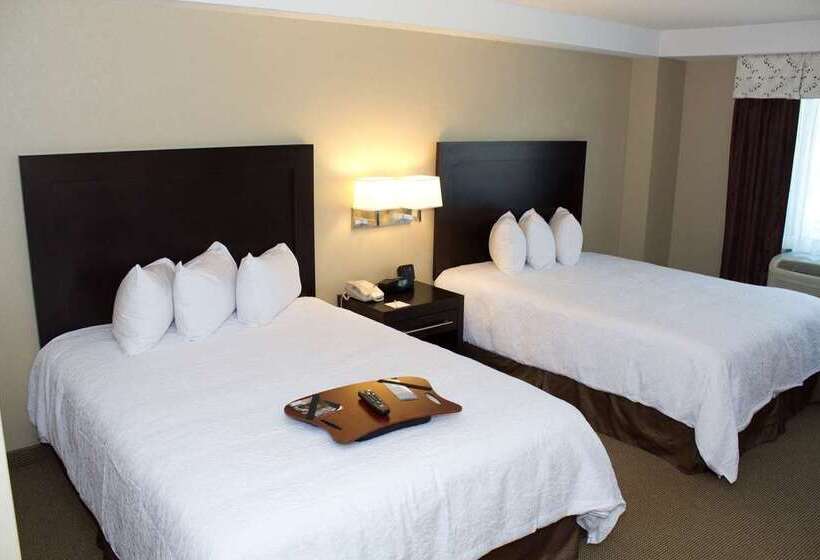 هتل Hampton Inn & Suites Boston Crosstown Center