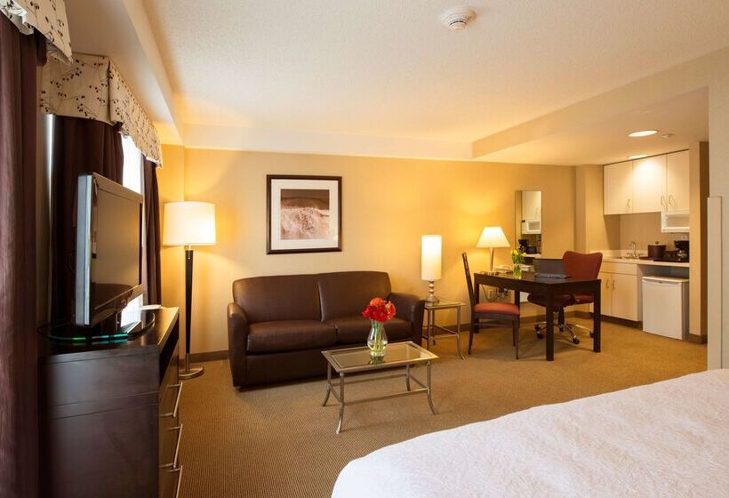 هتل Hampton Inn & Suites Boston Crosstown Center