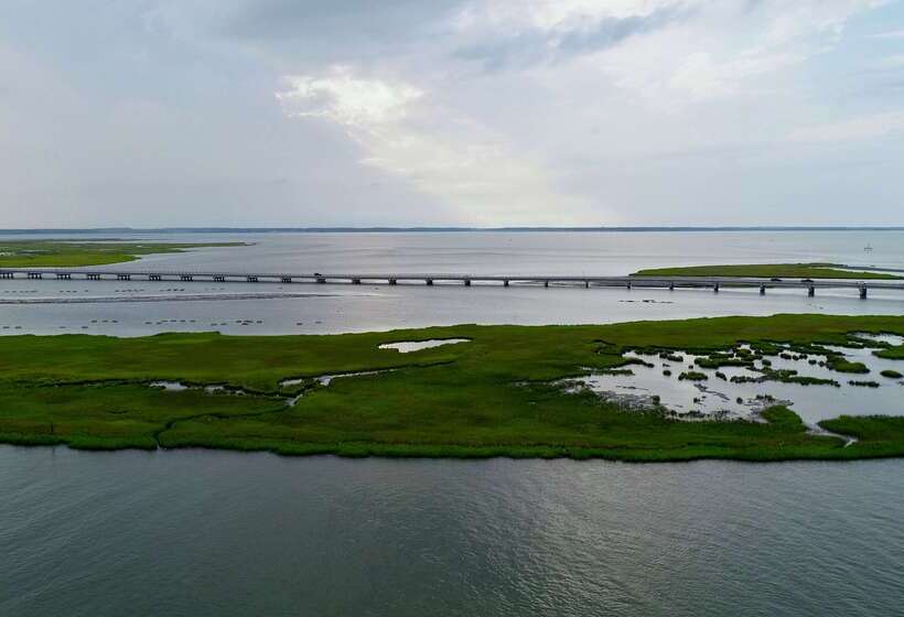 ホテル Hampton Inn & Suites Chincoteaguewaterfront