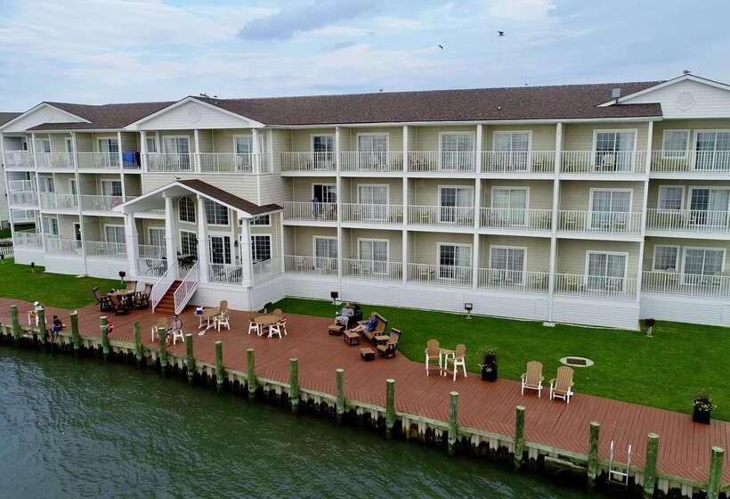 ホテル Hampton Inn & Suites Chincoteaguewaterfront