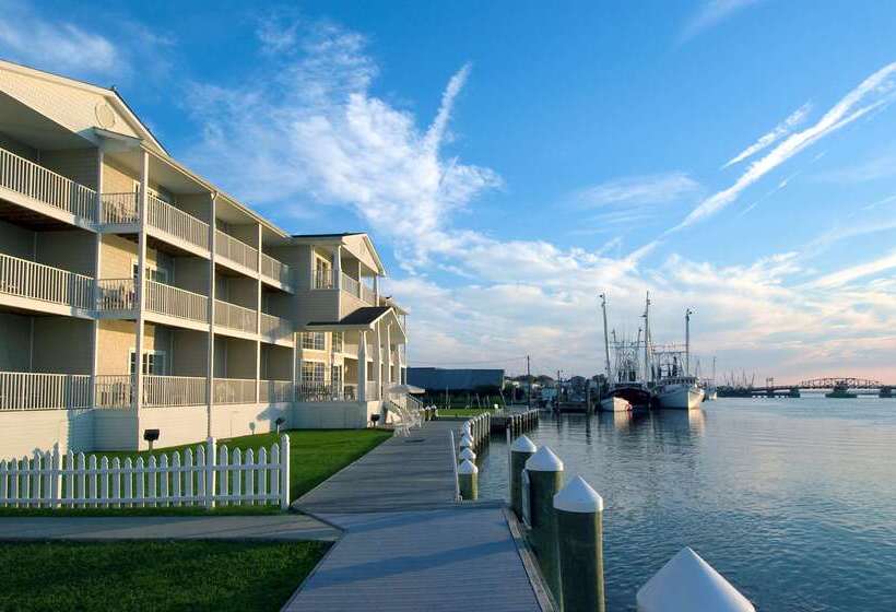 ホテル Hampton Inn & Suites Chincoteaguewaterfront