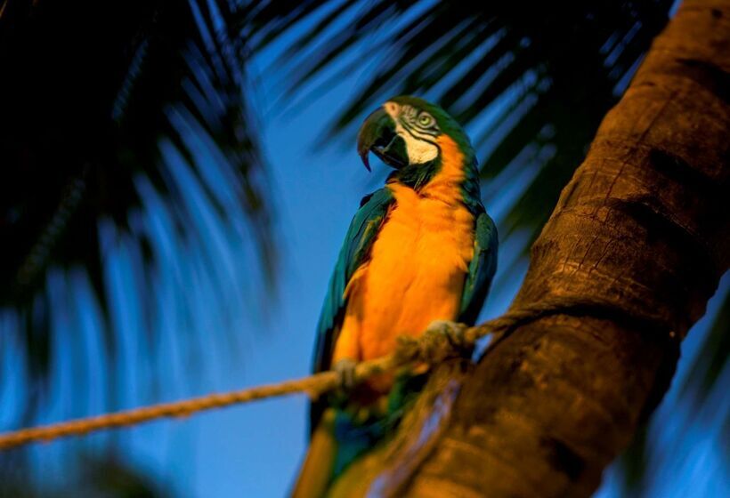 فندق Hyatt Centric Key West Resort & Spa