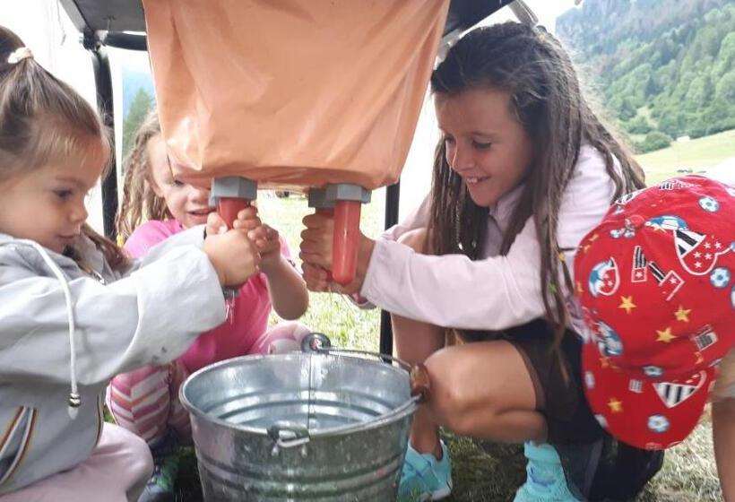 Отель Ortles Dolomiti Walking & Spa