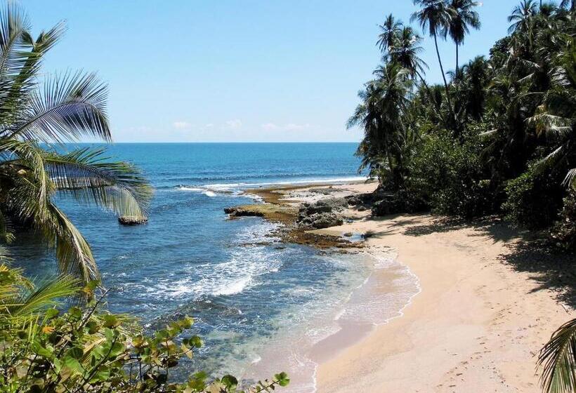 مبيت وإفطار El Colibri Lodge