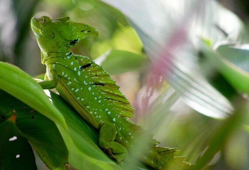 مبيت وإفطار El Colibri Lodge