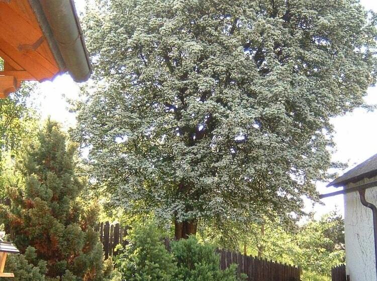 ホテル Gasthof Gruber