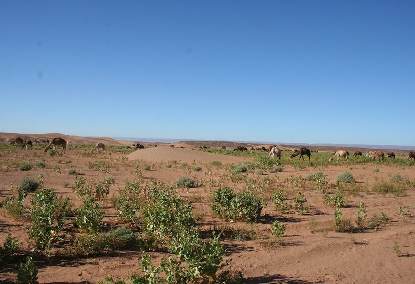 فندق Zagora Desert Camp