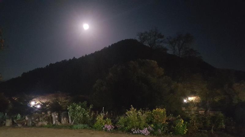 Moonlight House