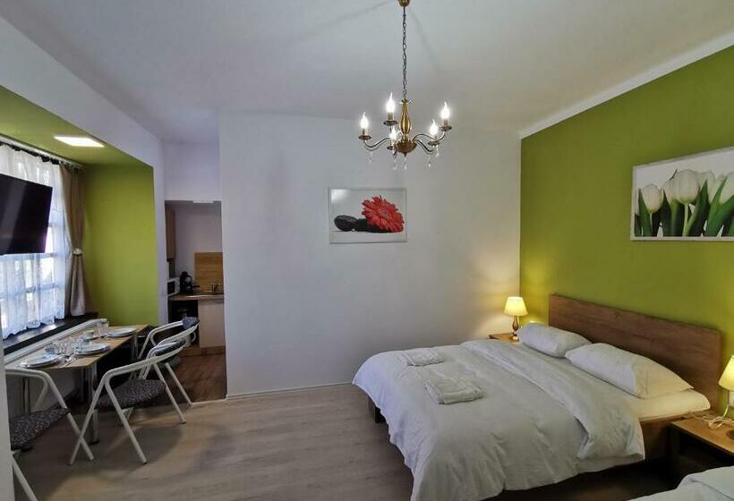 Пансион Ambient Deluxe Apartman