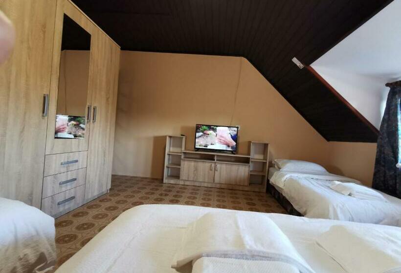 Пансион Ambient Deluxe Apartman